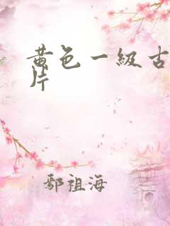 黄色一级古装大片