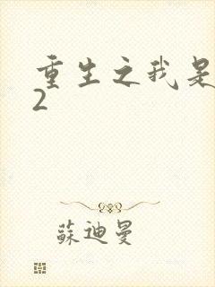 重生之我是王妈2
