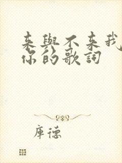 来与不来我都等你的歌词