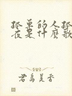 孤单的人孤单的夜是什么歌