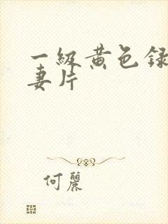 一级黄色录像夫妻片