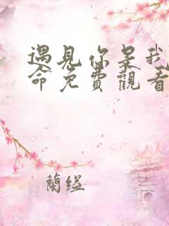 遇见你是我的宿命免费观看