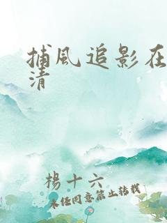 捕风追影在线高清
