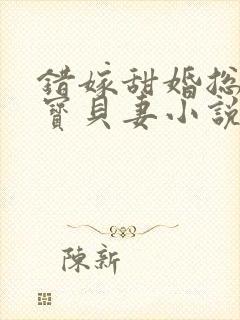 错嫁甜婚总裁的宝贝妻小说