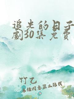 追光的日子电视剧30集免费观看