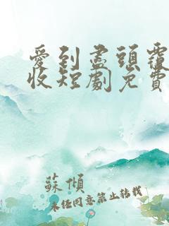 爱到尽头覆水难收短剧免费观看