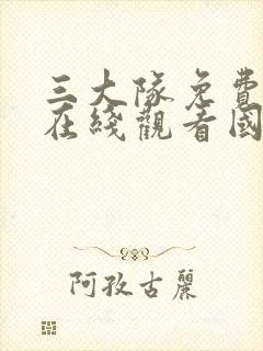 三大队免费完整在线观看国语高清