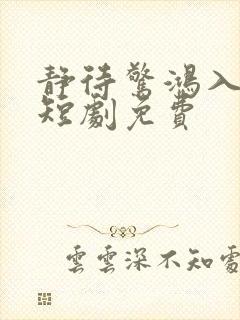 静待惊鸿入翁荒短剧免费