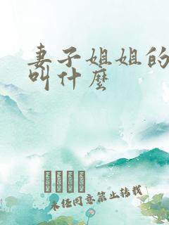 妻子姐姐的丈夫叫什么