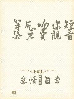 等风吻你短剧全集免费观看