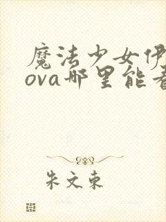 魔法少女伊莉雅ova哪里能看