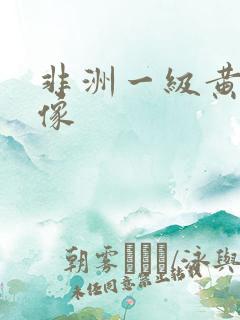 非洲一级黄色录像