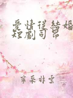 爱情从结婚开始短剧司昂