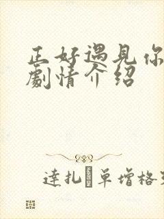 正好遇见你分集剧情介绍