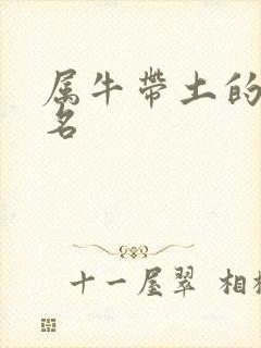 属牛带土的男孩名