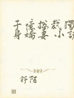 千亿总裁独宠替身娇妻 小说完整