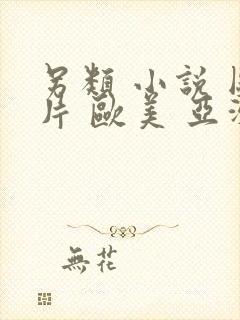 另类 小说 图片 欧美 亚洲