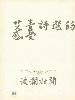 艾青诗选的阅读感受