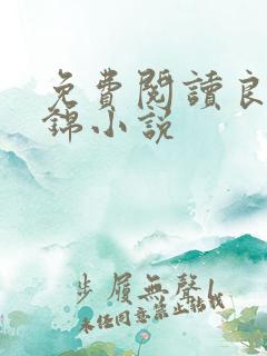 免费阅读良陈美锦小说