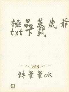 极品万岁爷全本txt下载