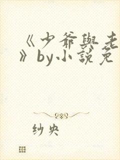 《少爷与老实人》by小说免费阅读