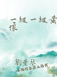 一级一级黄色录像