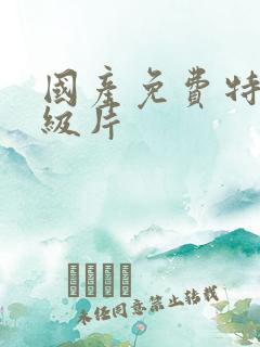 国产免费特黄一级片