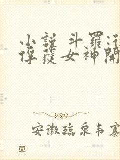 小说 斗罗:从俘获女神开始无敌