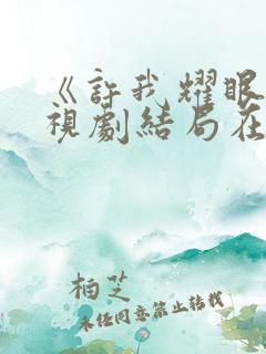 《许我耀眼》电视剧结局在线观看