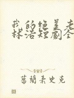 我的绝美老板娘林浩短剧全集