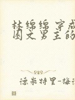 林绵绵 穿成校园文男主的后妈出版了吗