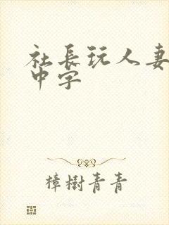 社长玩人妻bd中字