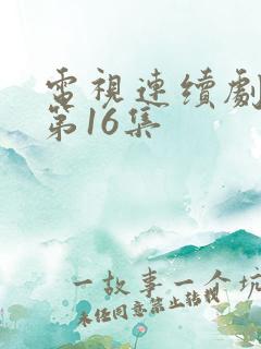 电视连续剧偶然第16集