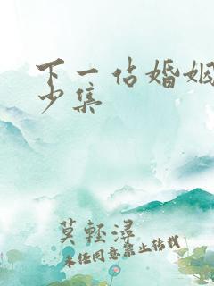 下一站婚姻共多少集