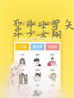 圣斗士星矢 圣斗少女翔