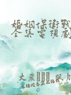 婚姻保卫战免费全集电视剧在线观看