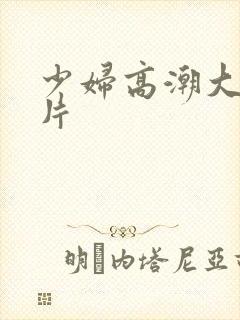 少妇高潮大叫毛片