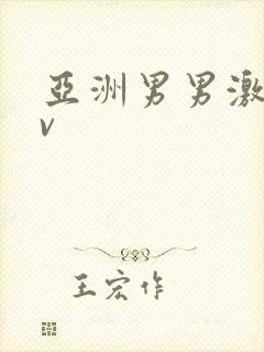 亚洲男男激情av