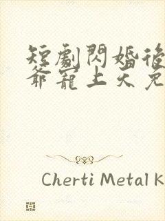 短剧闪婚后被傅爷宠上天免费观看