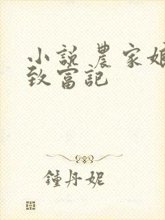 小说 农家娘子致富记