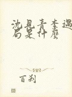 沈见青李遇泽结局是什么