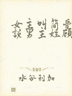 女主叫简爱的小说男主姓顾