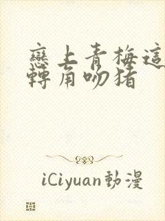 恋上青梅这件事转角吻猪