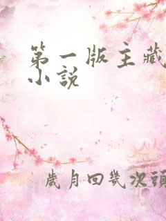 第一版主藏经阁小说