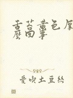 舌苔黄色厚腻怎么回事