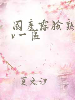 国产露脸熟女av一区