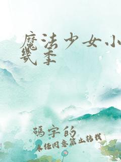 魔法少女小圆有几季