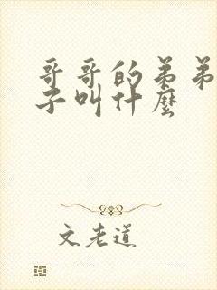 哥哥的弟弟的儿子叫什么