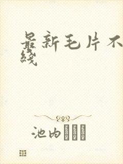 最新毛片不卡在线