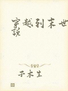 穿越到末世的小说